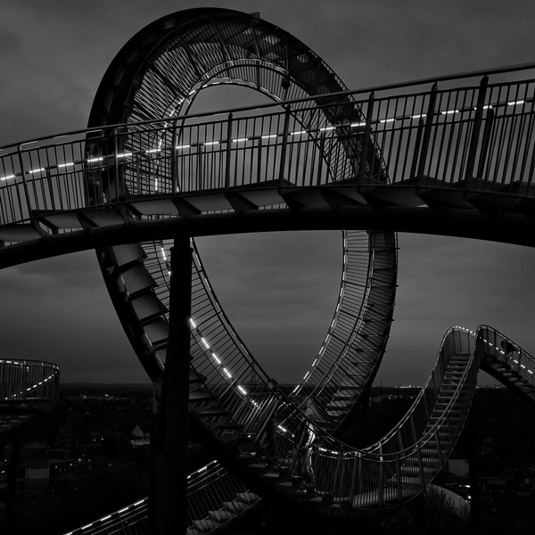 Tiger & Turtle II