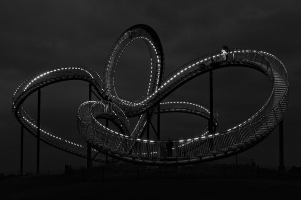 Tiger & Turtle I